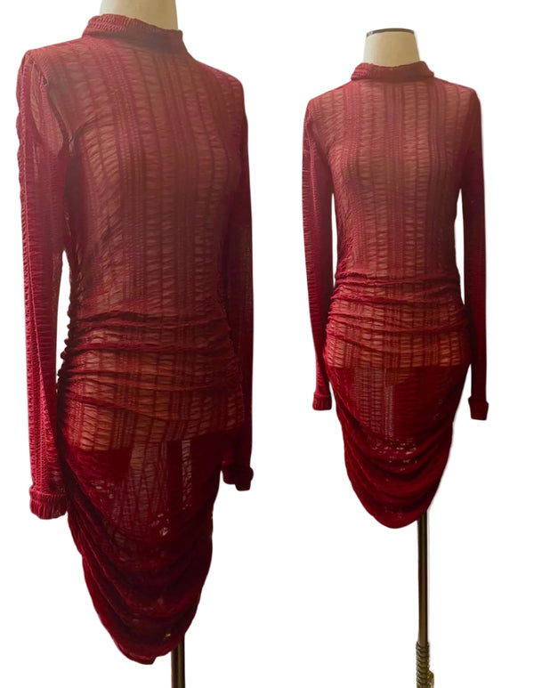 Ruched Mesh Turtleneck Dress.  Great for layerings.  Bodycon
