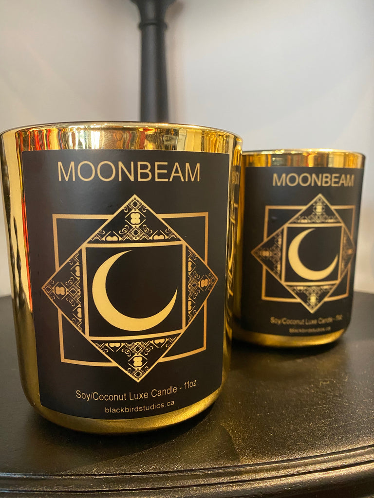 Coconut/Soy Luxe Candle - Moonbeam